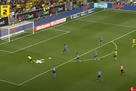   مدرب هوفنهايم: هدف فوز دورتموند "فضيحة"